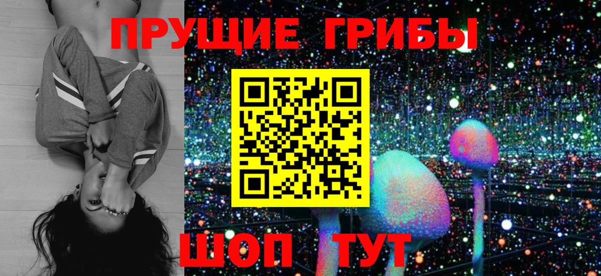 Псилоцибиновые грибы прущие грибы Вольск