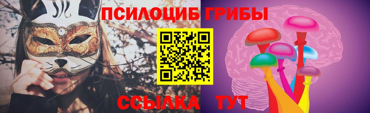 Псилоцибиновые грибы Psilocybe  что такое наркотик  Галлюциногенные грибы ЛСД  Вольск  Вход с VPN 