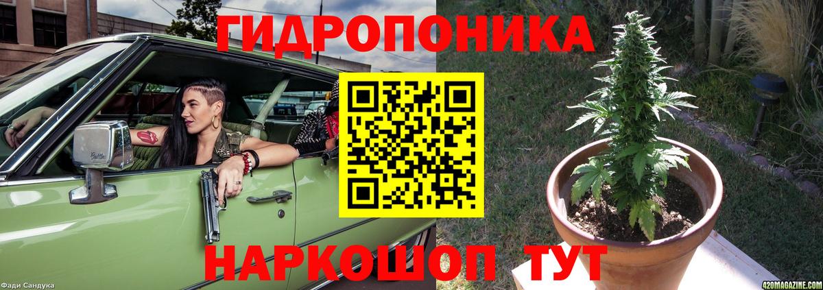 Конопля марихуана  Вход с VPN  Марихуана AK-47  Вольск 